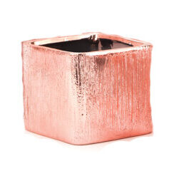 CasaBella_Rose-Square